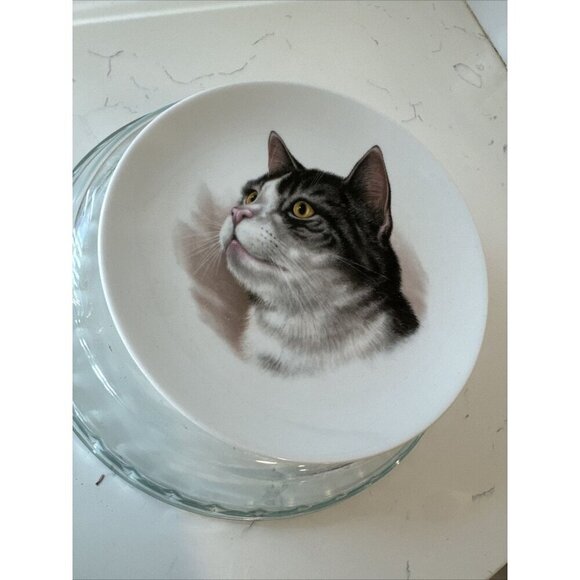 Schumann Arzberg Germany Bavaria Gray Cat Plate 7 1/4" Golden Crown E&R - Picture 5 of 8